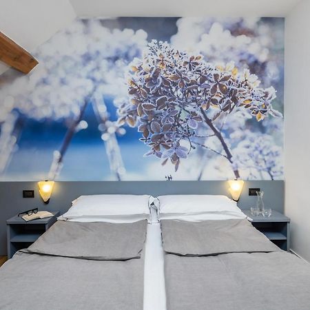 Pippo Hotel Terzolas المظهر الخارجي الصورة